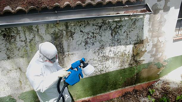 Trusted Commercial Mold Remediation service in Tewksbury, MA - Cheap Mold Removal